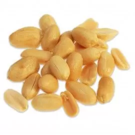 Pinda's groot met zout